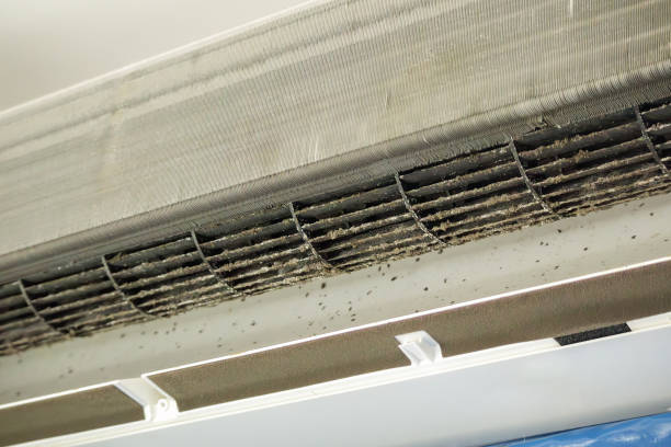 Best Local Air Duct Cleaning Services  in Spencerville, MD